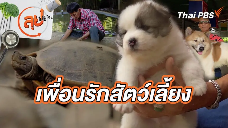 ลุยไม่รู้โรย
