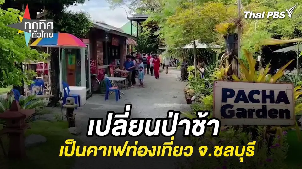 เปลี่ยนป่าช้าเป็นคาเฟท่องเที่ยว จ.ชลบุรี