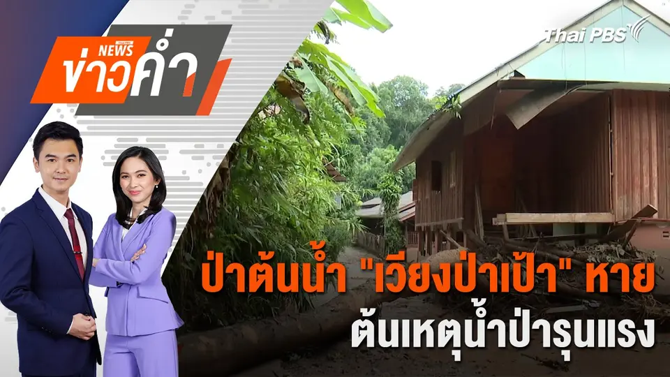 ป่าต้นน้ำ "เวียงป่าเป้า" หาย ต้นเหตุน้ำป่ารุนแรง | 24 ก.ย. 67