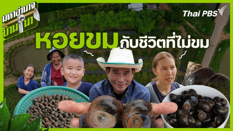 หอยขมกับชีวิตที่ไม่ขม