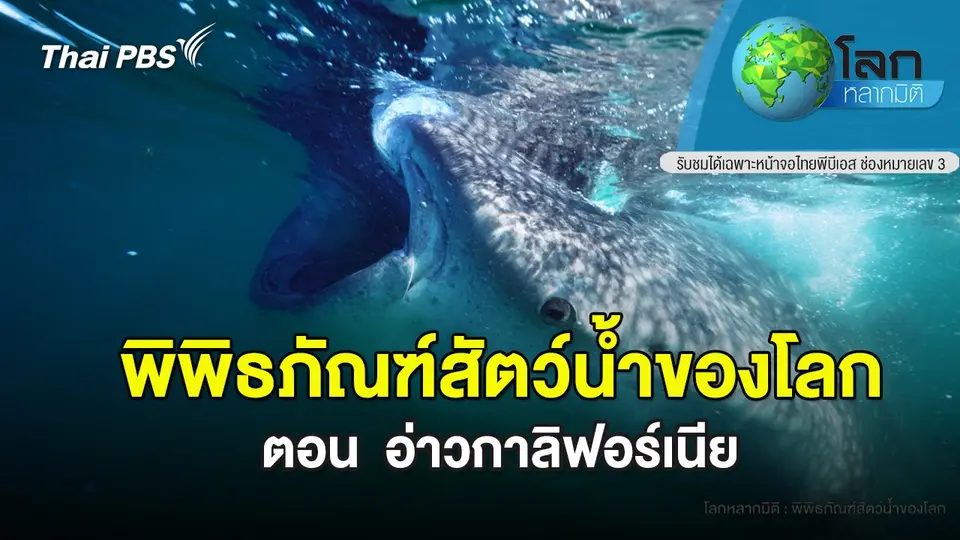 โลกหลากมิติ