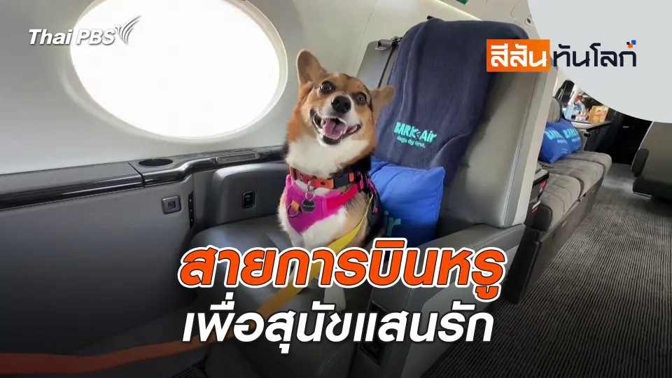 สายการบินหรูเพื่อสุนัขแสนรัก | สีสันทันโลก | 25 พ.ค. 67