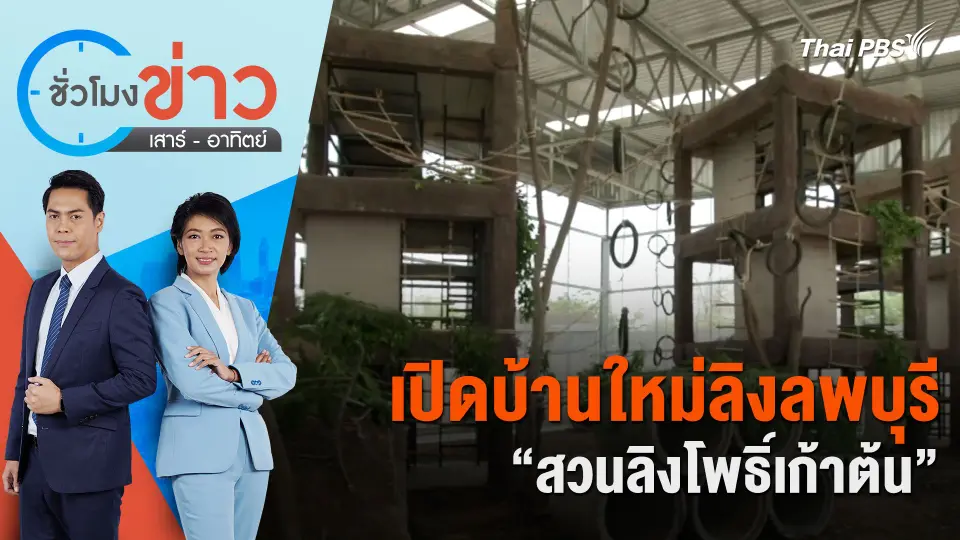เปิดบ้านใหม่ลิงลพบุรี “สวนลิงโพธิ์เก้าต้น” | ชั่วโมงข่าว เสาร์ - อาทิตย์ | 25 พ.ค. 67