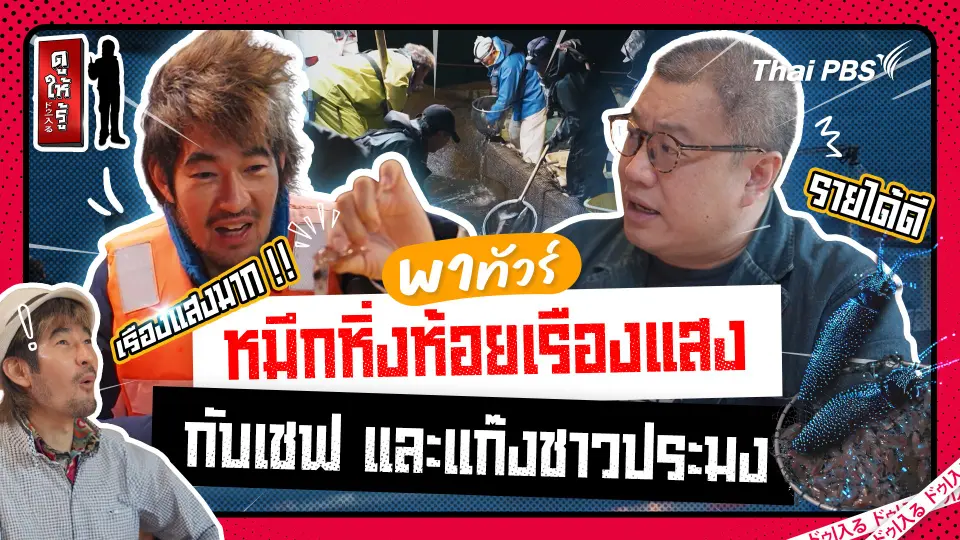 แขกพิเศษพาทัวร์หมึกหิ่งห้อยเรืองแสงกับชาวประมงและเชฟจองยาก