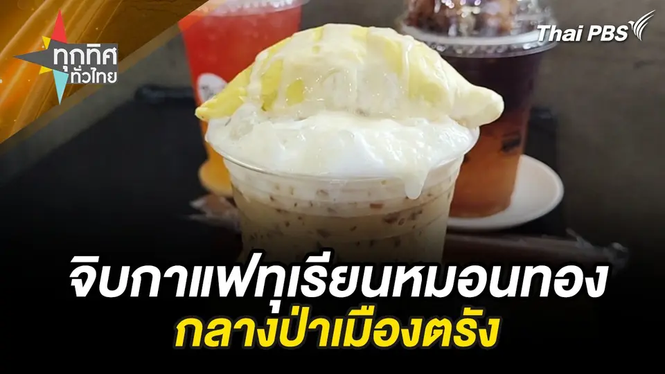 จิบกาแฟทุเรียนหมอนทองกลางป่าเมืองตรัง
