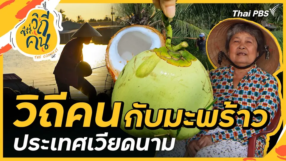 วิถีคนกับมะพร้าว ประเทศเวียดนาม