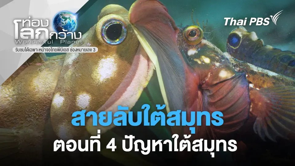 ท่องโลกกว้าง