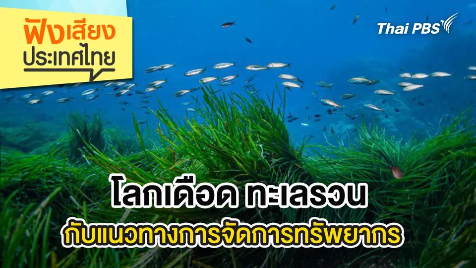 โลกเดือด ทะเลรวนกับแนวทางการจัดการทรัพยากร