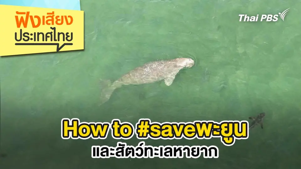 How to #saveพะยูน และสัตว์ทะเลหายาก
