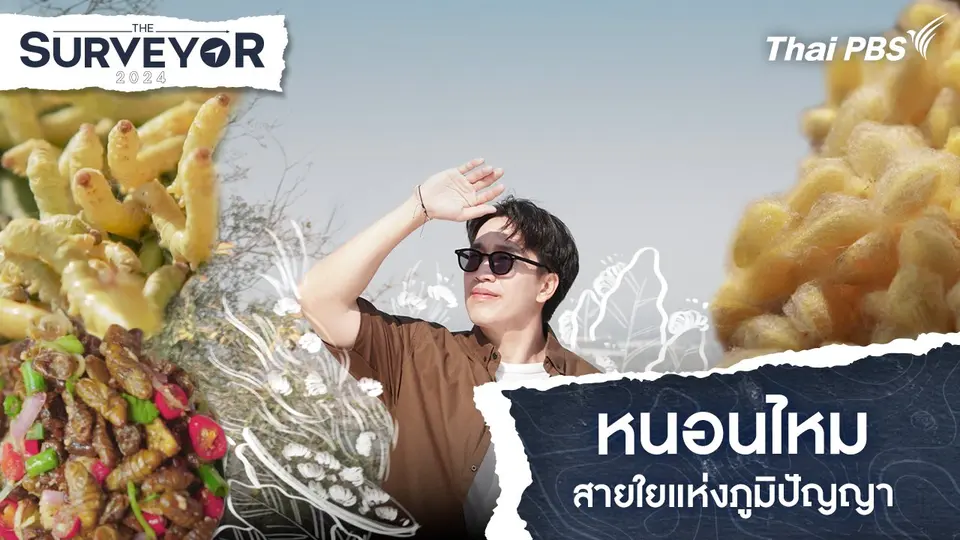 หนอนไหม สายใยแห่งภูมิปัญญา