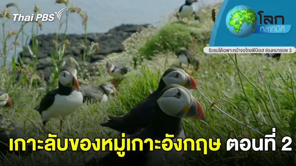 โลกหลากมิติ
