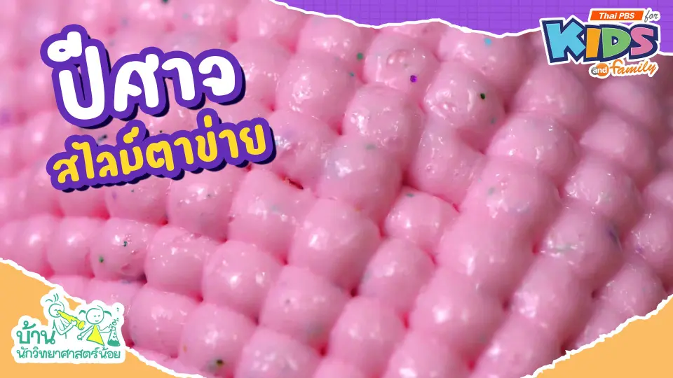 ปีศาจสไลม์ตาข่าย