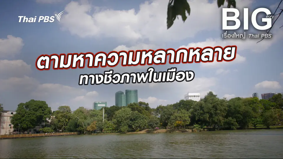 ตามหาความหลากหลายทางชีวภาพในเมือง