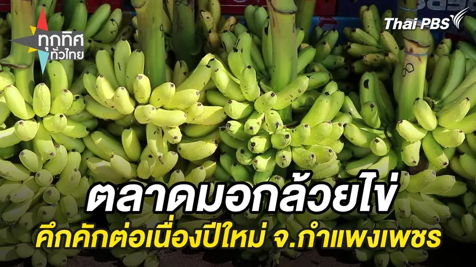 ตลาดมอกล้วยไข่คึกคักต่อเนื่องปีใหม่ จ.กำแพงเพชร
