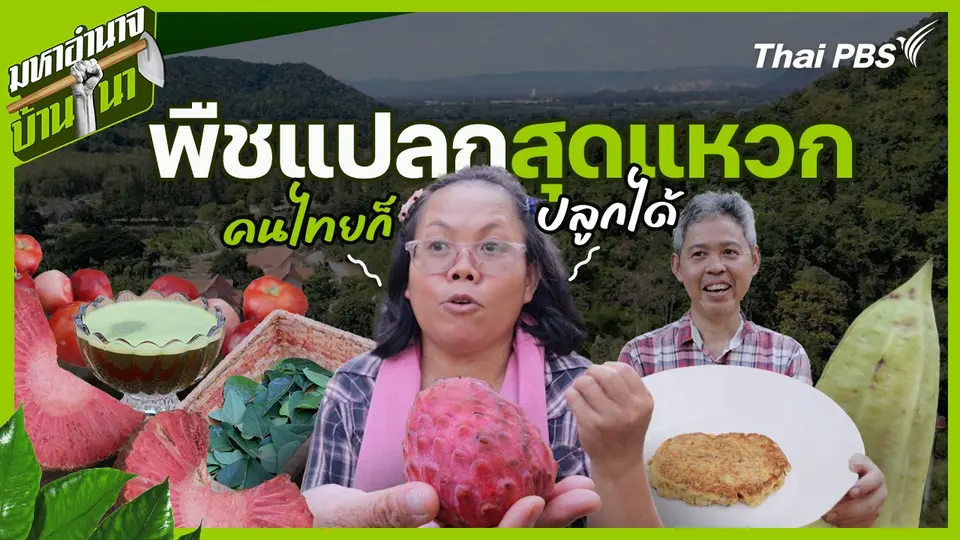 พืชแปลกสุดแหวก คนไทยก็ปลูกได้