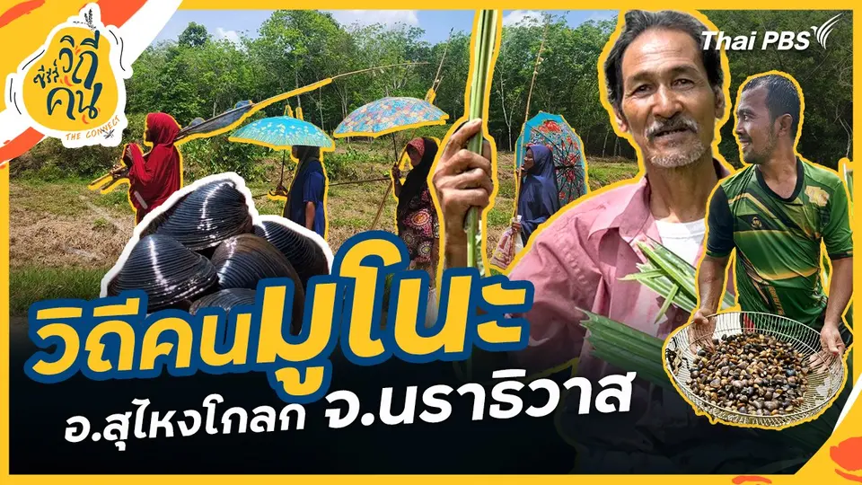 ซีรีส์วิถีคน