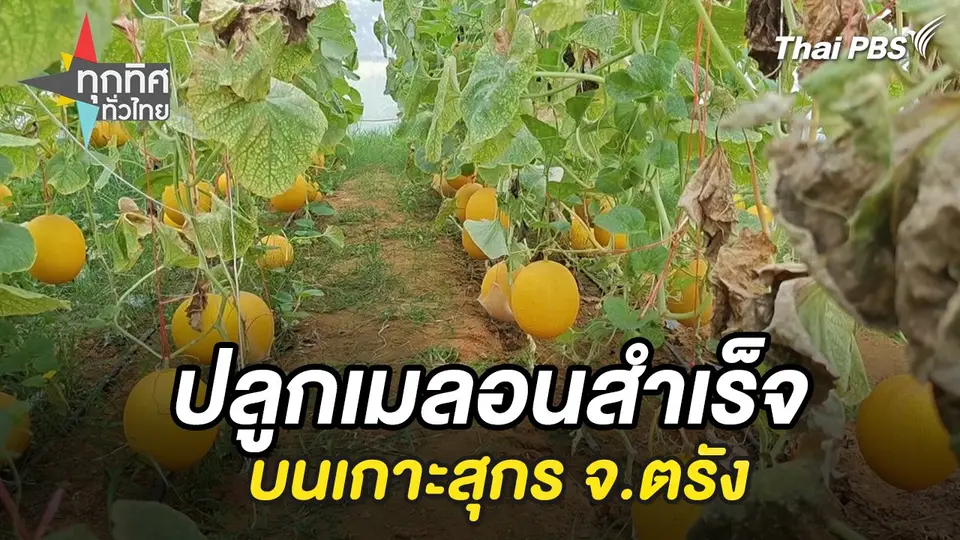 ทุกทิศทั่วไทย