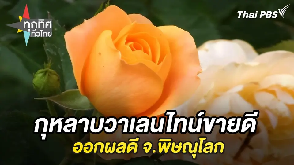 ทุกทิศทั่วไทย