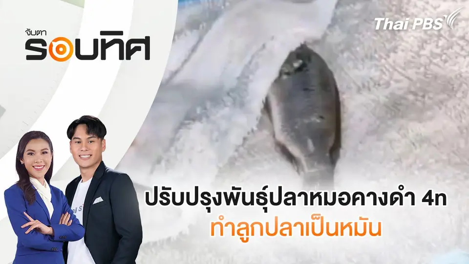 จับตารอบทิศ