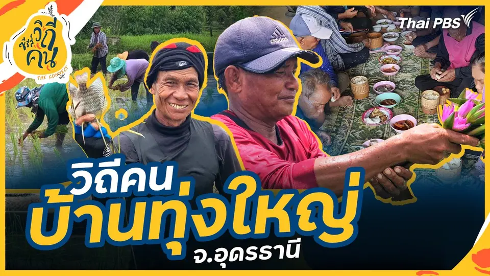 ซีรีส์วิถีคน