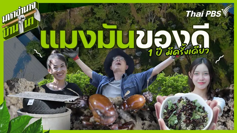 มหาอำนาจบ้านนา