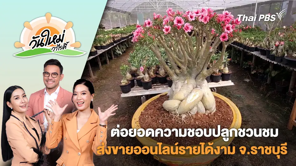 วันใหม่วาไรตี้