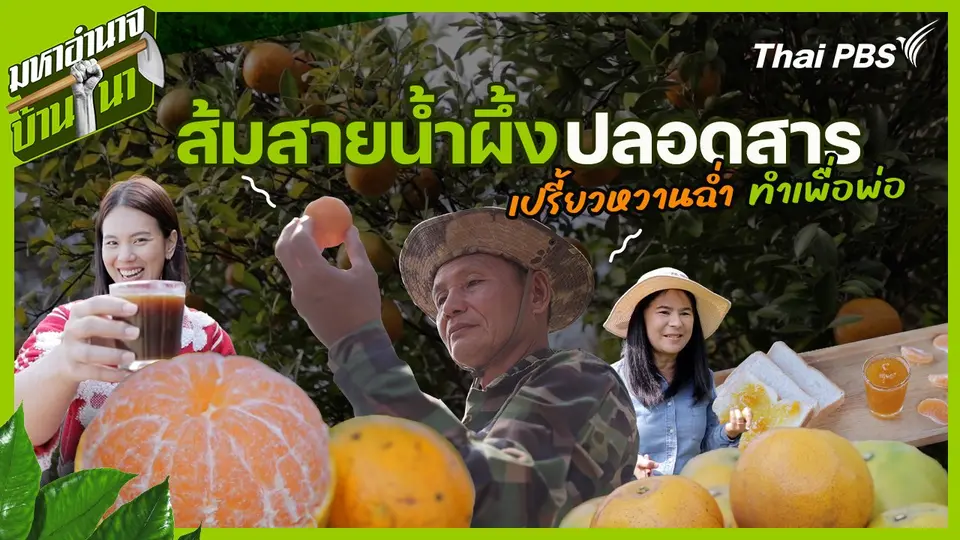 มหาอำนาจบ้านนา