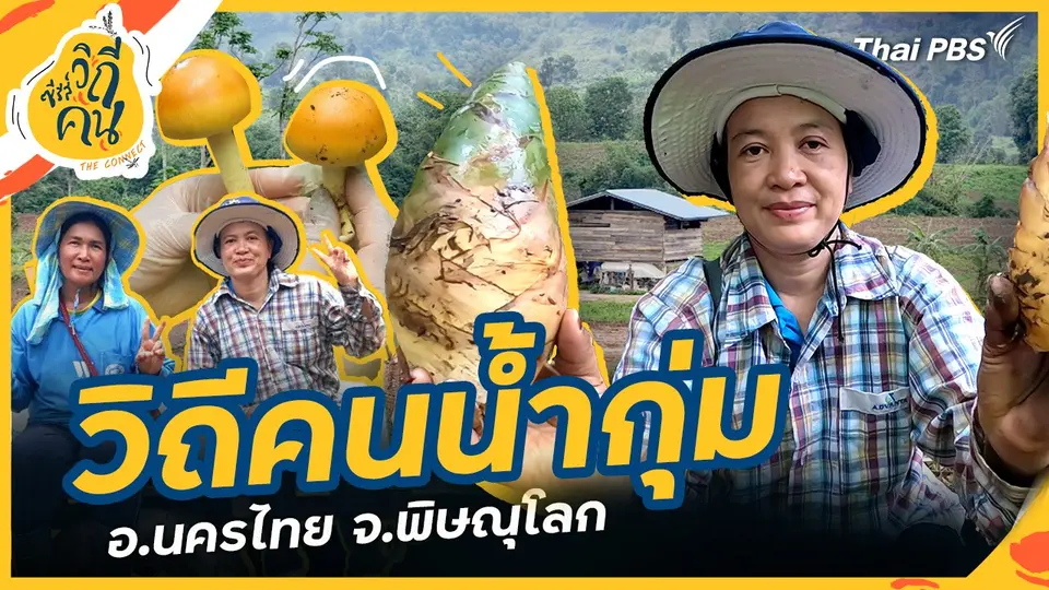 ซีรีส์วิถีคน