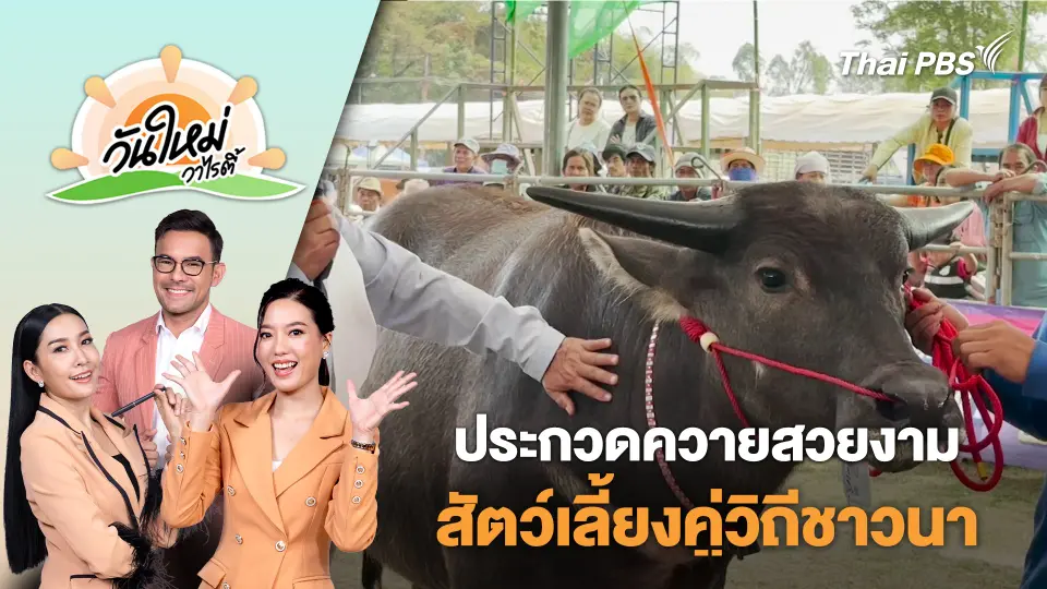 วันใหม่วาไรตี้