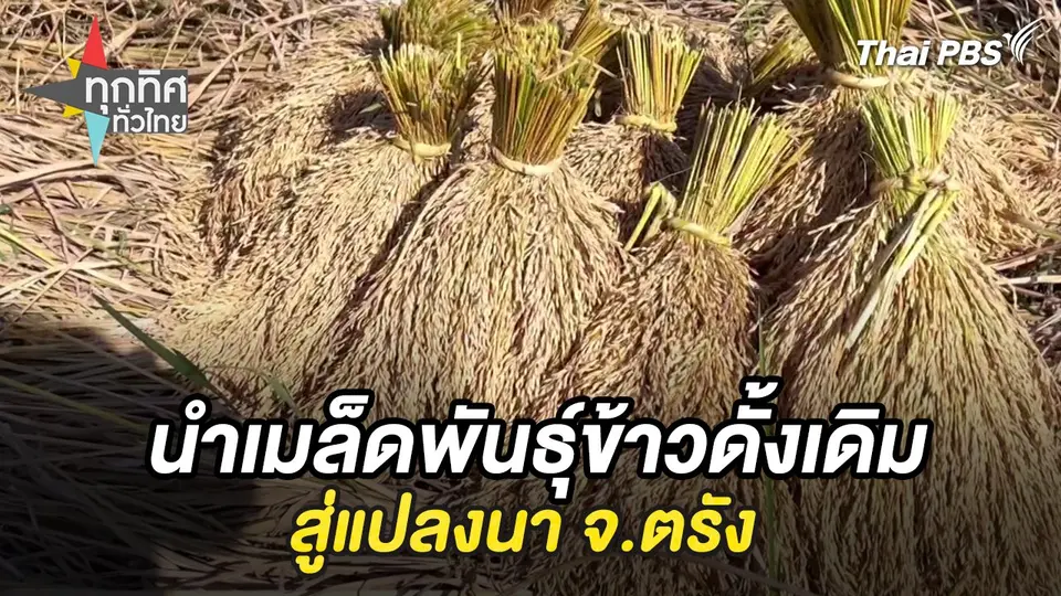 ทุกทิศทั่วไทย