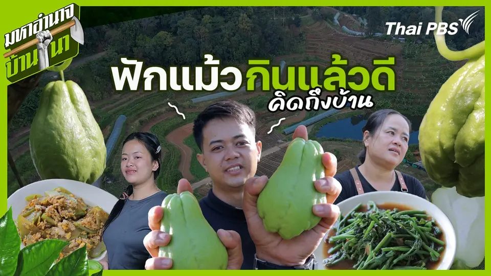 มหาอำนาจบ้านนา