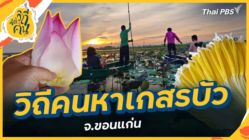 ซีรีส์วิถีคน