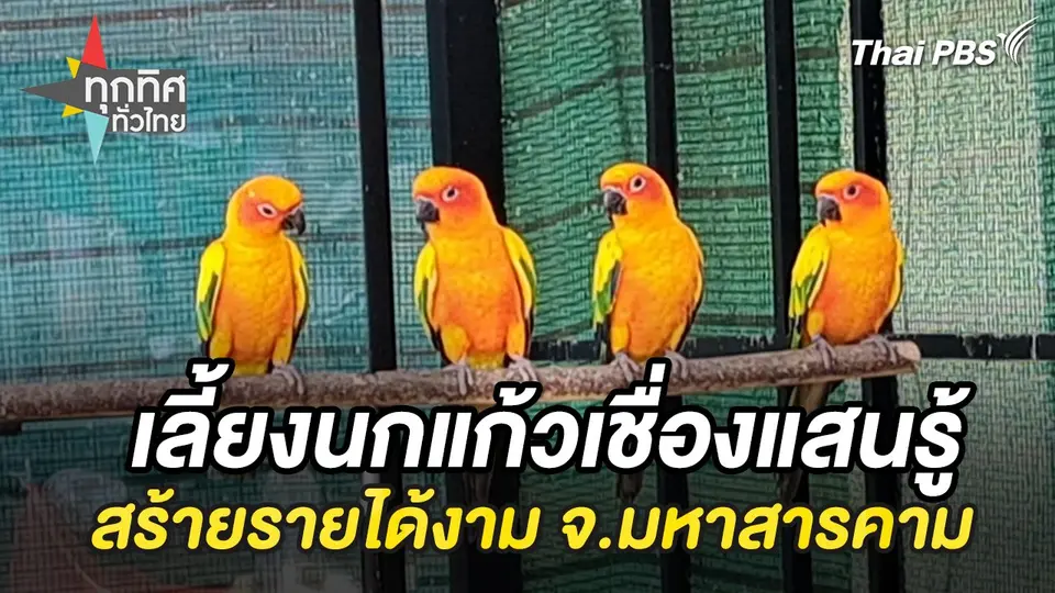 ทุกทิศทั่วไทย