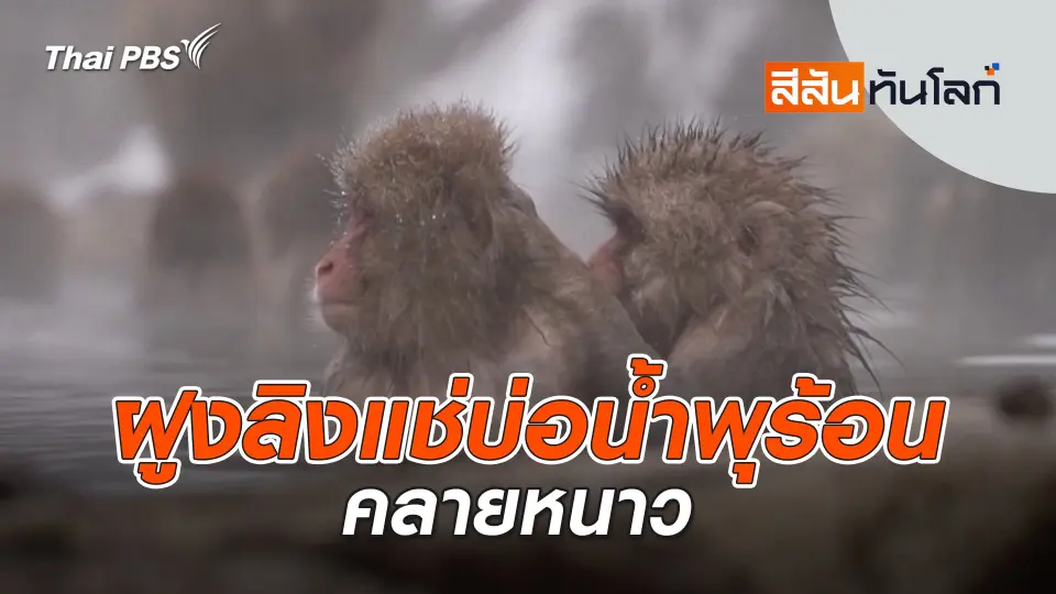 สีสันทันโลก