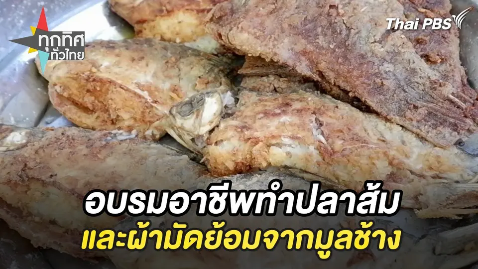 ทุกทิศทั่วไทย