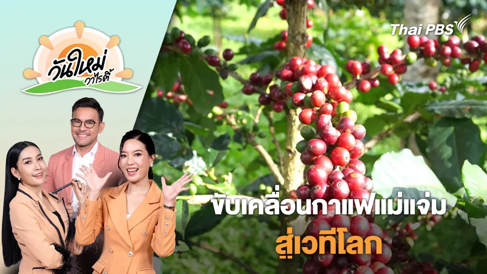 วันใหม่วาไรตี้
