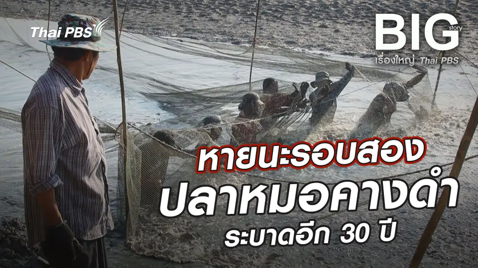 Big Story เรื่องใหญ่ Thai PBS