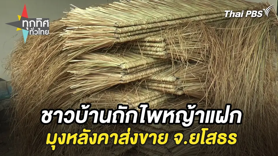 ชาวบ้านถักไพหญ้าแฝกมุงหลังคาส่งขาย จ.ยโสธร