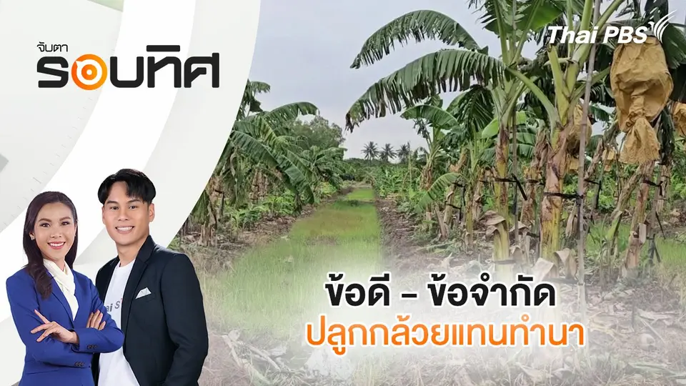 จับตารอบทิศ