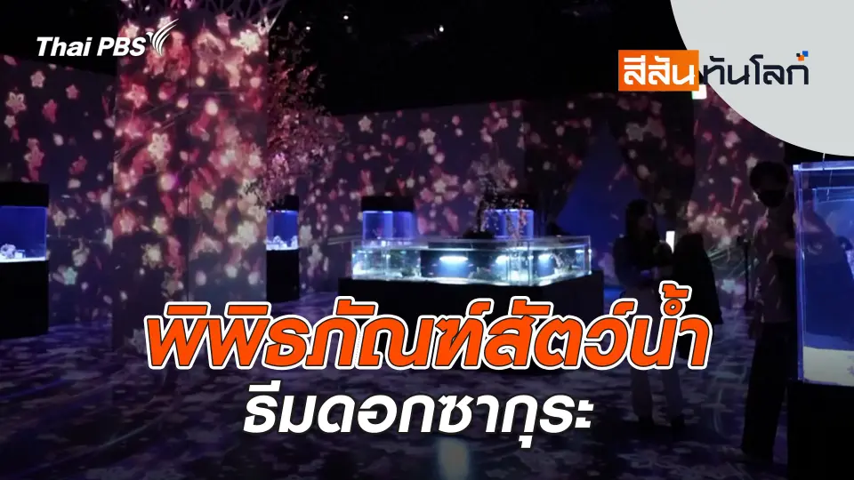 สีสันทันโลก