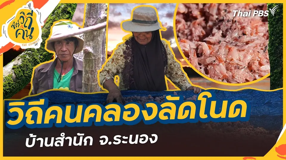 ซีรีส์วิถีคน