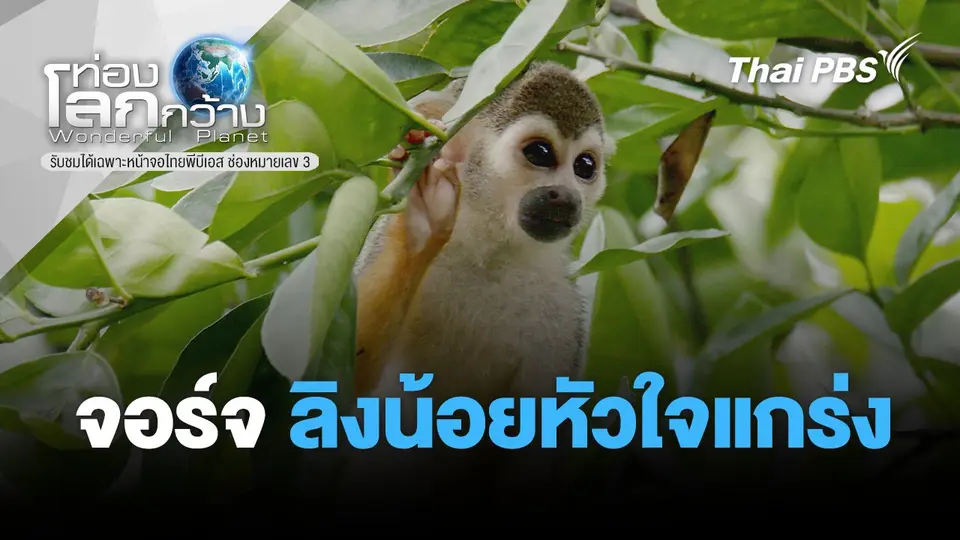 ท่องโลกกว้าง