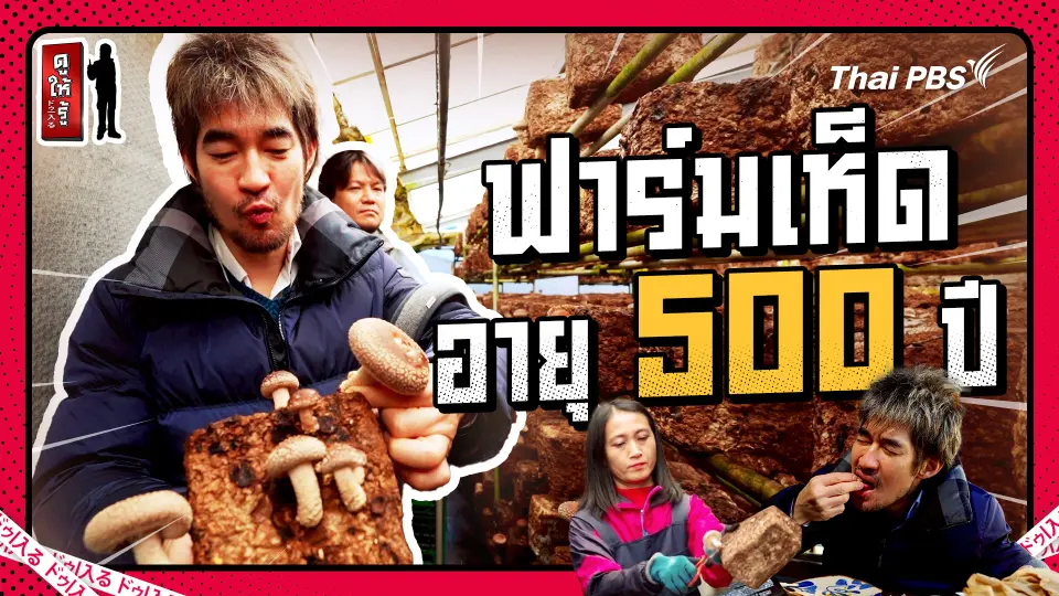 ดูให้รู้ Dohiru