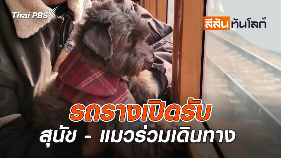 สีสันทันโลก