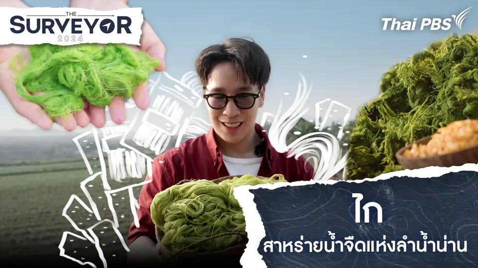 ไก สาหร่ายน้ำจืดแห่งลำน้ำน่าน