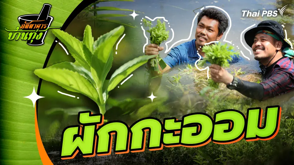 ผักกะออม