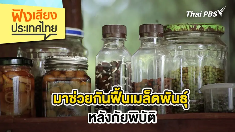 มาช่วยกันฟื้นเมล็ดพันธุ์ หลังภัยพิบัติ