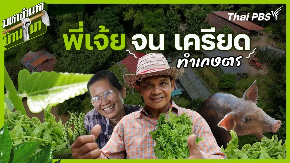 มหาอำนาจบ้านนา