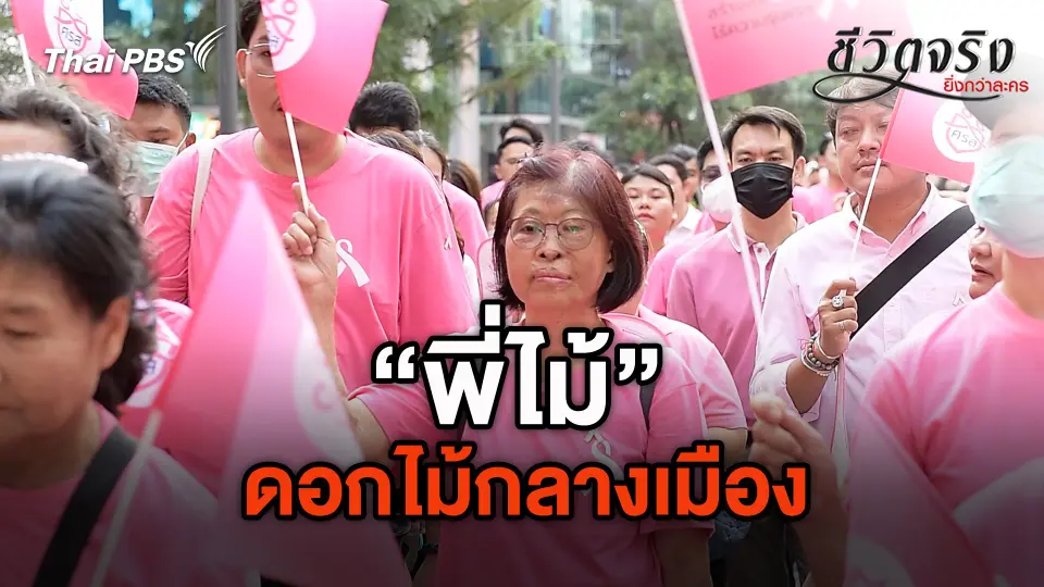 ดอกไม้กลางเมือง