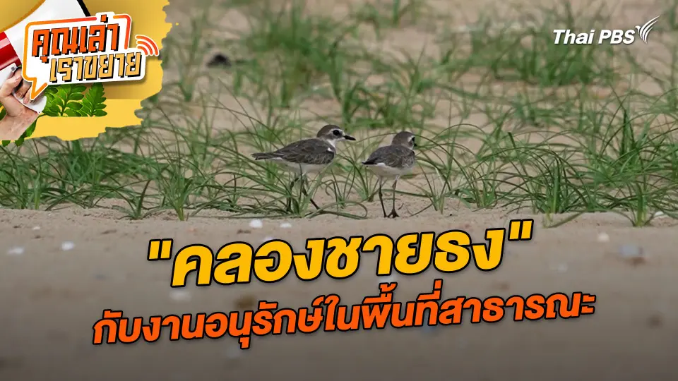 คุณเล่า เราขยาย